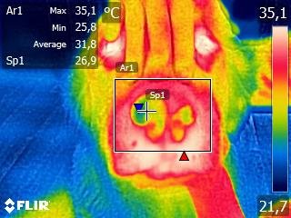 FLIR0769.jpg