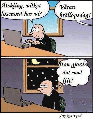 humor_bröllopsdag.jpg