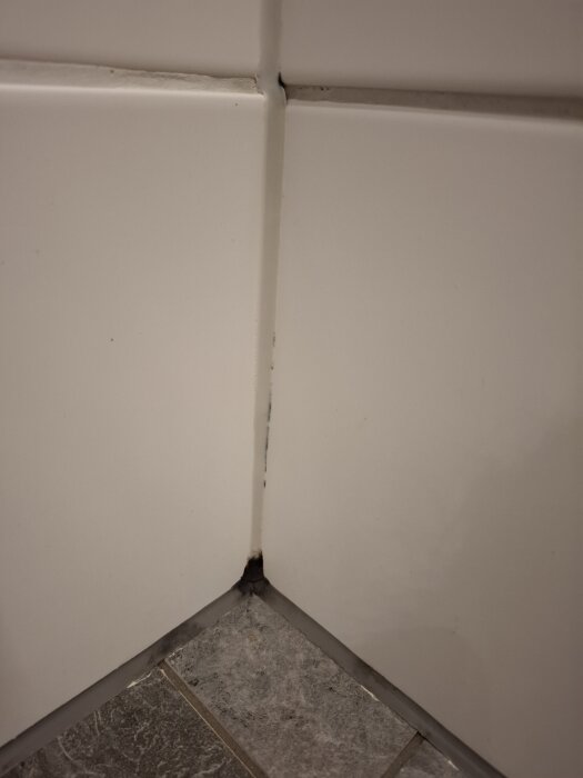 Mögelliknande fläckar i duschhörn, mörka och svarta partier synliga på fogen vid vita kakelplattor och grått klinkergolv.