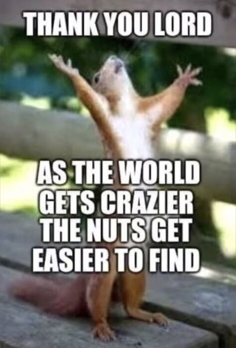 Ekorre med uppsträckta armar på en träbänk, text ovanför och under ekorren: "Thank you Lord. As the world gets crazier the nuts get easier to find.