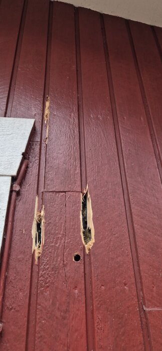 Skadat område på röd träpanel med två stora hål och exponerad isolering, potentiellt orsakade av fåglar.