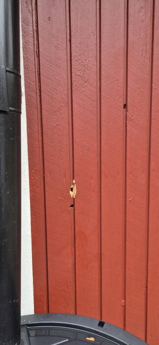 Röd trävägg med ett mindre hål, där färgen är bortnött. En svart stupränna syns till vänster. Möjligen fågelskador.