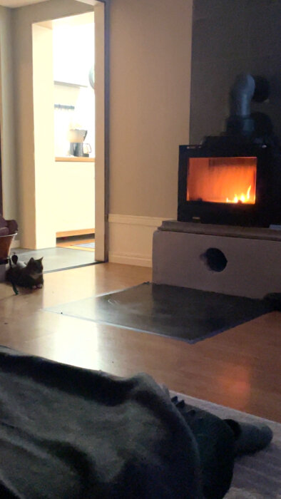 En vedeldad kamin i ett vardagsrum, med en öppenspis som brinner. En katt ligger på golvet bredvid kaminen.