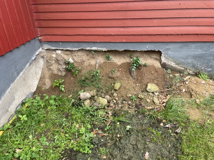 Uppgrävt hörn av husvägg och uterum med synlig jord och gräs efter dränering, där en tidigare rabatt varit belägen.