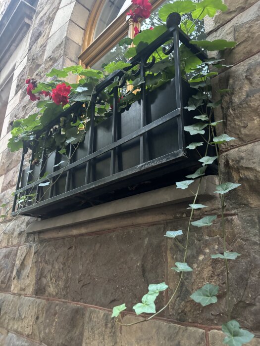 Blomlåda med röda blommor och gröna blad på en stenfasad.