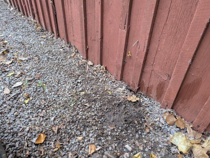 Grus och jord ligger tätt intill en röd träpanel, med några fallna löv på marken.