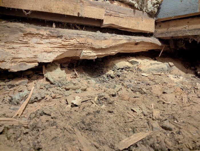 Förmultnat trä i grundsyll med synliga isoleringsmaterial och bråte, tecken på skador och behov av reparation av husgrund.