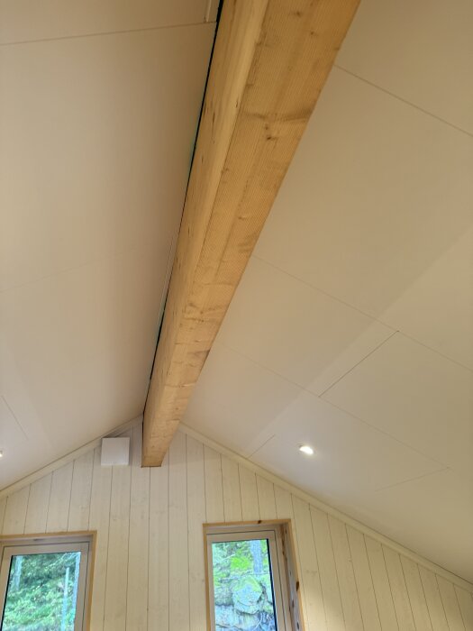 Takvinkel med synlig träbalk och två fönster med utsikt mot skog.