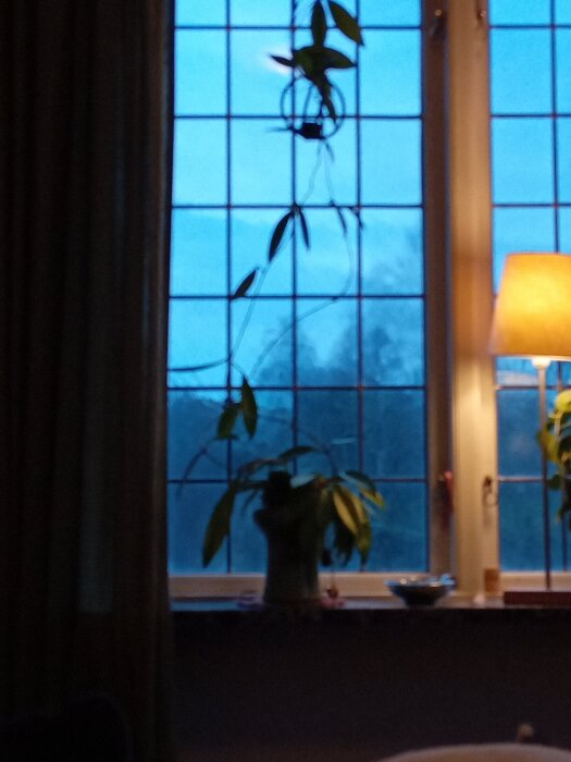 Gamla spröjsade fönster i sovrum med en krukväxt och en tänd lampa på fönsterbrädan.