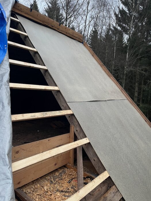 Takrenovering med glespanel och board på plats, omgiven av natur.