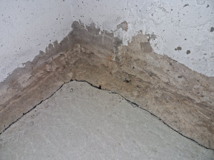 Källarhörn med ojämna kanter och sprickor i betongväggen och golvet, som ska fyllas i och täckas med heltäckningsmatta.