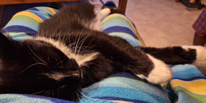 Svartvit katt som sover på en färgglad randig filt.