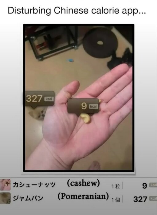 Hand håller en cashewnöt markerad med "9 kcal", medan en hund i bakgrunden visas som "327 kcal" i en kalori-app.