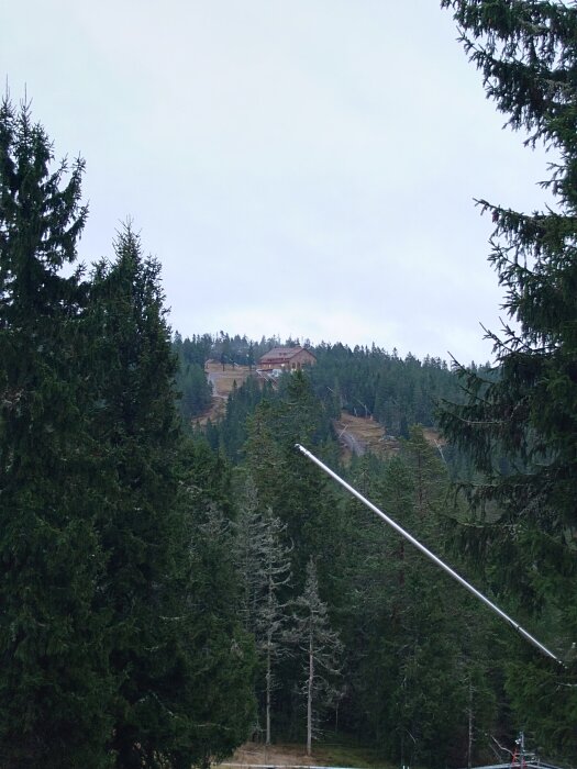 Utsikt över en skog med ett hus på en kulle i bakgrunden, omgiven av höga träd och en metallstång i förgrunden.