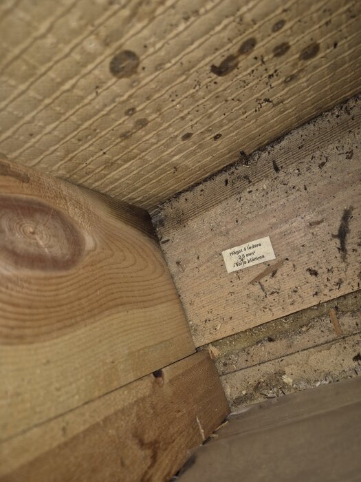Trästruktur med fuktfläckar och smuts, potentiell mögelpåväxt synlig på plankan. En etikett med text är fastsatt på väggen.