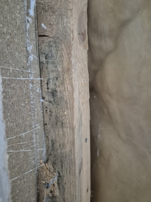 Närbild av en träregel med mögelpåväxt och fuktskador, fixerad med spånskiva, hittad vid väggöppning under renovering.