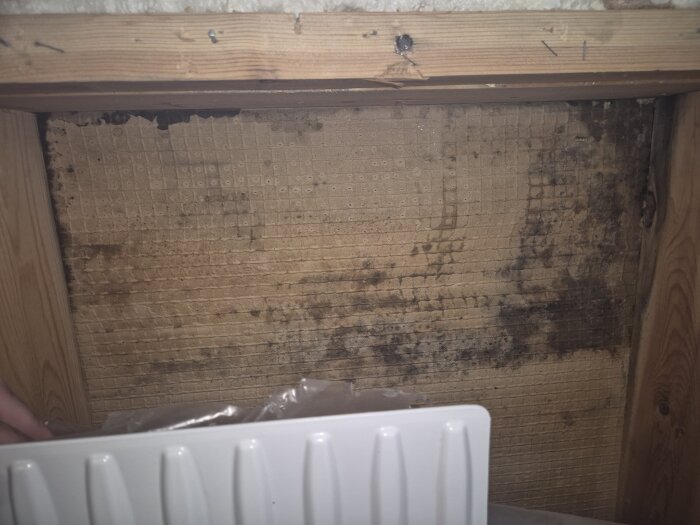 Vägg ovanför ett fönster med synliga fuktskador och mögel intill träreglar, bakom ett vitt element.