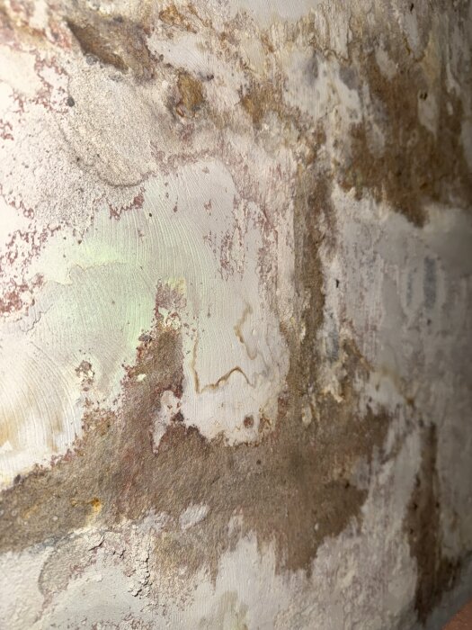 Vägg i källare med fläckar av bruna missfärgningar och tecken på fukt, ytan ser ojämn ut med olika texturer och färgskiftningar.
