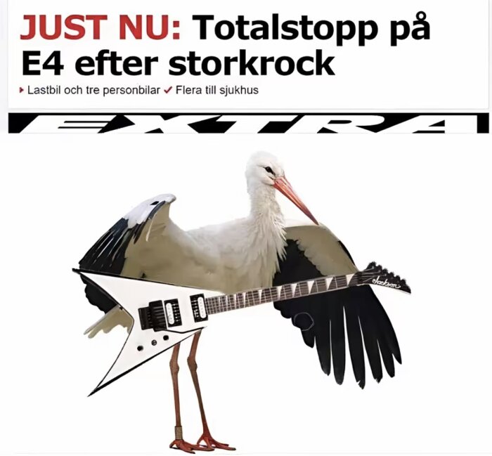 Montage av stork som spelar elgitarr, med rubrik om trafikolycka på E4 ovanför.