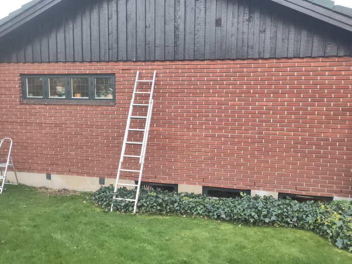 Teglad husvägg med stege framför, och tre fönster med sprickor i tegel ovanför.