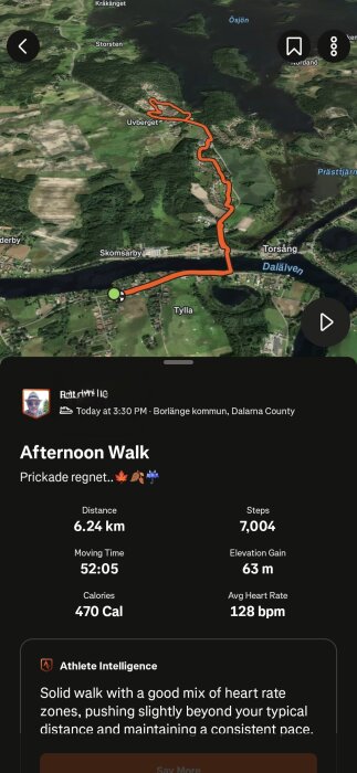 Karta över en promenad i Borlänge, 6,24 km lång, samt data om distans, tid, steg, höjdskillnad, kalorier och puls.