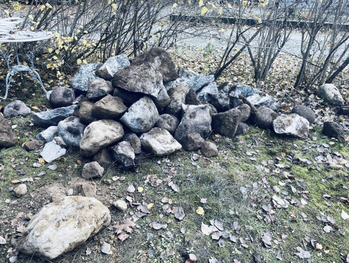 Hög med stenbumlingar på gräsmatta bredvid buskar och ett litet metallbord. Löv ligger spridda på marken.