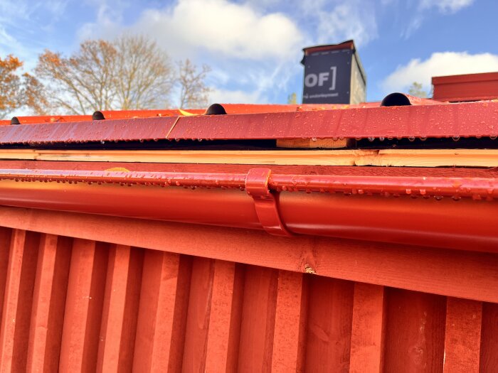 Blött tak med röd plåt och hängränna, vatten syns på plåtytan och läkten. Droppläkt och hängränna under diskussion om takläggning.