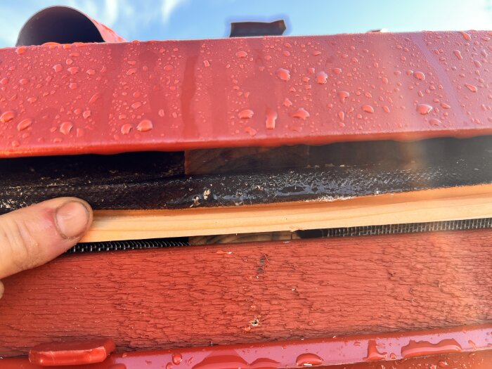 Närbild på ett blött rött plåttak med synlig läkt och detalj av en hand som pekar.