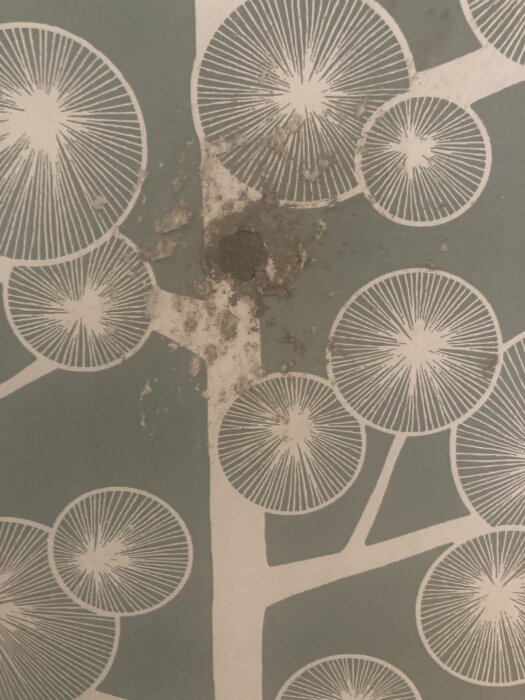 Mönstrad tapet med avskavd yta synlig, visar skador och skarvar som behöver åtgärdas före målning.