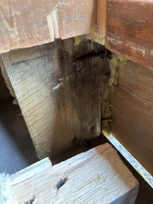 Träkonstruktion med synliga fläckar och isolering, del av syll i sutteränghus byggt 1975, relaterat till dålig lukt vid ytterdörren.