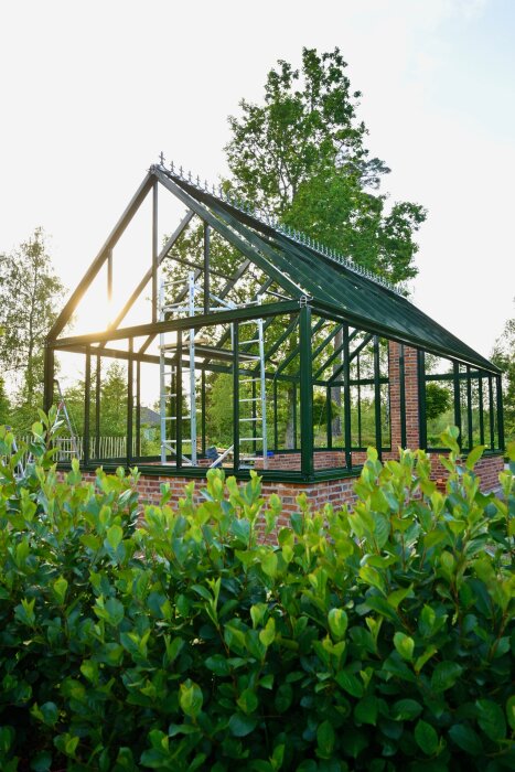 Växthus under konstruktion med grön metallram och tegelbas, omgiven av grönska och träd i bakgrunden.