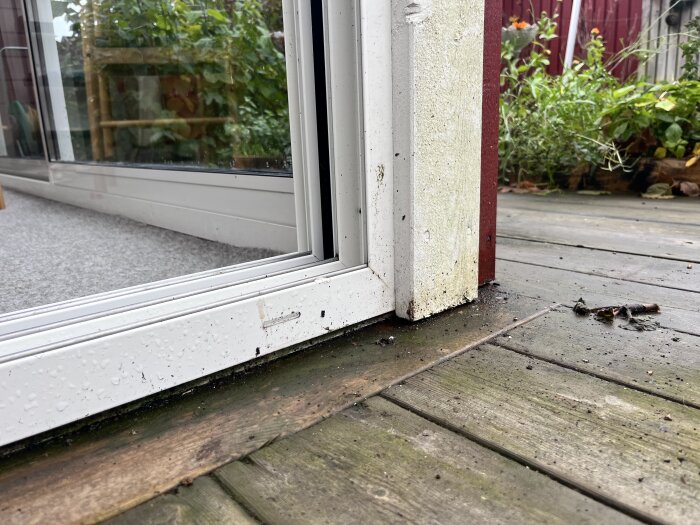 Närbild på ett hörn av ett uterum med vita fuktiga metallskenor, trätrall och synlig fuktskada längst ner på en spånplatta.