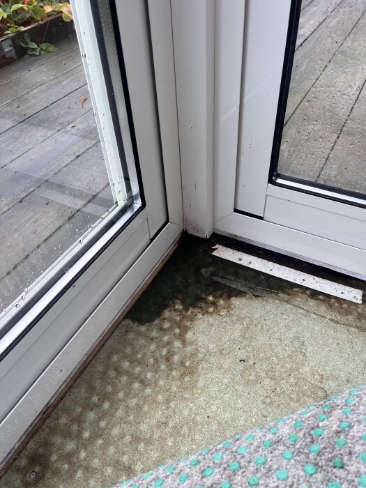 Fuktskada i ett uterumshörn med fuktiga spånplattor och kondens på vit metall. Trallen synlig utanför fönstren i hörnet.