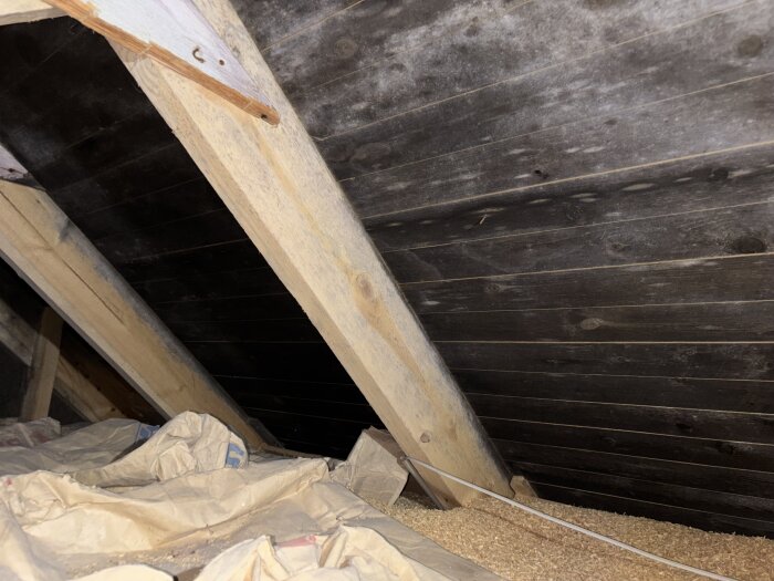 Svartnad råspont på vinden med mjölsäckar ovanpå spån; inspektion visar behov av takbyte utan tecken på rötskada.