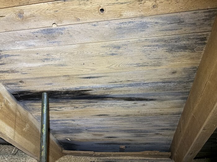 Mörkfärgad råspont på vind med svarta partier, särskilt runt ventilationskanal från badrum; synliga träbalkar i taket.