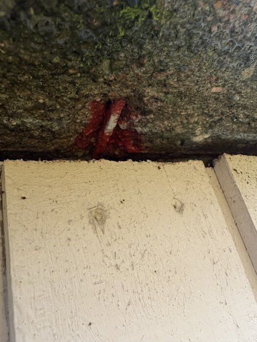 Rostig armering synlig på en gammal betongplatta med mosspåväxt.