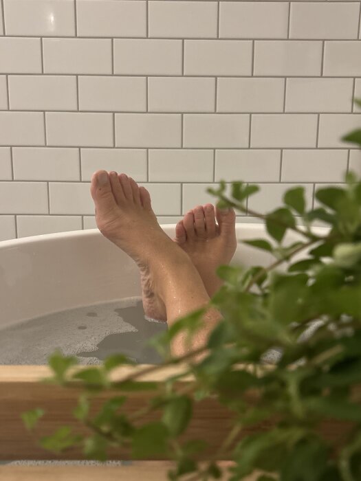 Fötter i ett badkar med vatten mot en vit kaklad vägg, gröna växtblad syns i förgrunden.