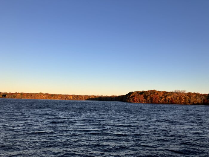 Sjön med krusigt vatten i förgrunden och skogsklädda höstfärgade kullar i bakgrunden under en klar blå himmel.