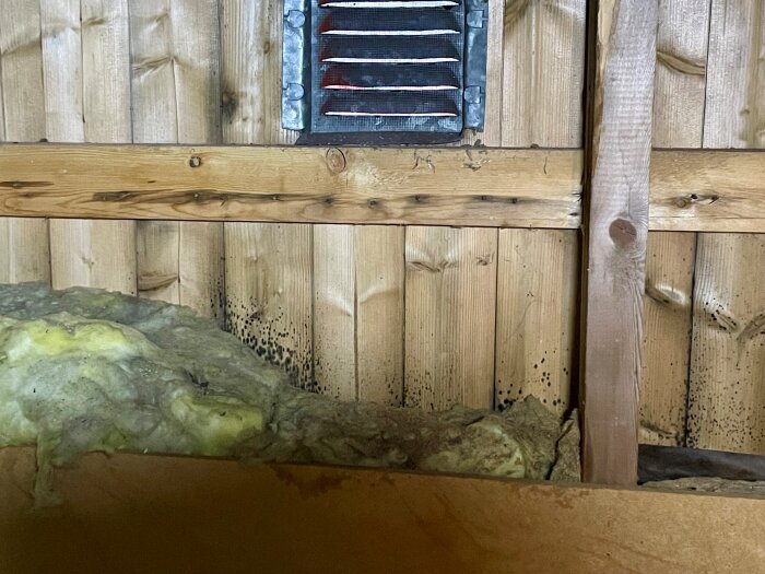 Trävägg i vind med svart mögel intill isolering nära takventil.