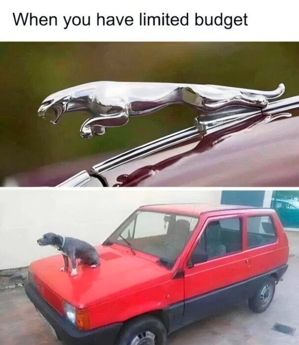 Bilder av en bilmaskot i form av en katt och en hund som sitter på en röd bils huva, med texten "When you have limited budget".