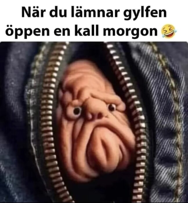 En dragkedja är delvis öppen och inuti syns en rynkig människoliknande ansikte med en humoristisk touch.