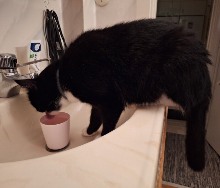 Svartvit katt dricker vatten ur en rosa mugg i ett handfat.