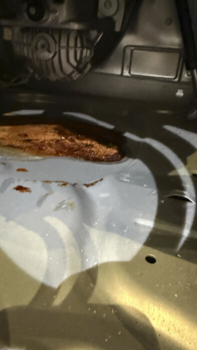 Rostbrun vätska och korrosion inuti en tvättmaskin, synligt runt pumphus och slangar, med vittrade plastdelar.