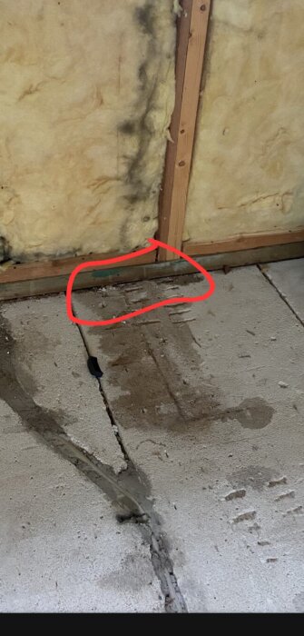 Närbild på träskivor och isolering med svarta märken, markerat med röd cirkel, ifrågasätts för fuktighet.