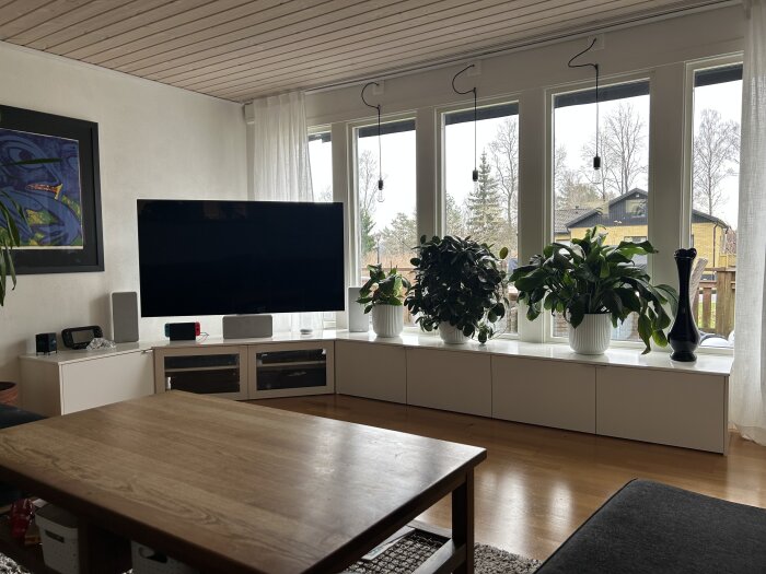 Vardagsrum med specialbyggd tv- och fönsterbänk av Ikea Bestå-enheter, TV och högtalare. Bänken har flera gröna växter vid fönstren.