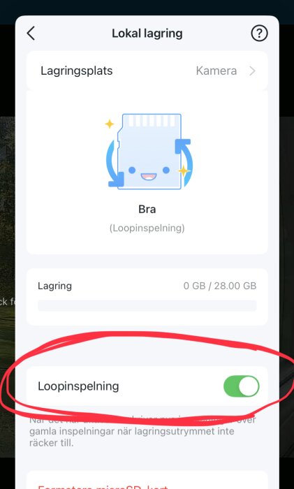 Skärmbild av Tapo-appens lokal lagringsinställningar som visar aktiverad loop-inspelning med 0 GB av 28 GB lagring använt.