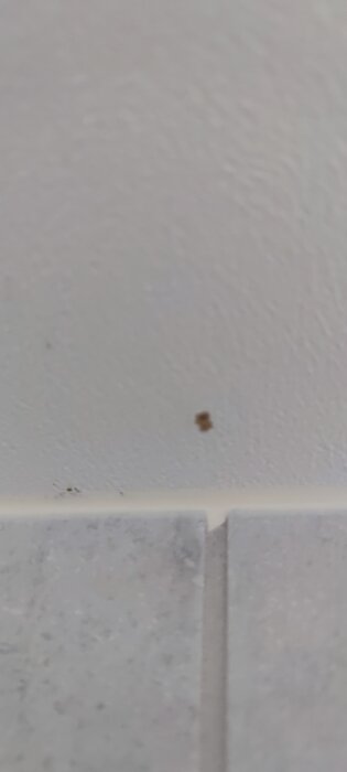 Fläck på ett vitt innertak i ett badrum, nära takvägg, möjlig vattenskada eller mögel.