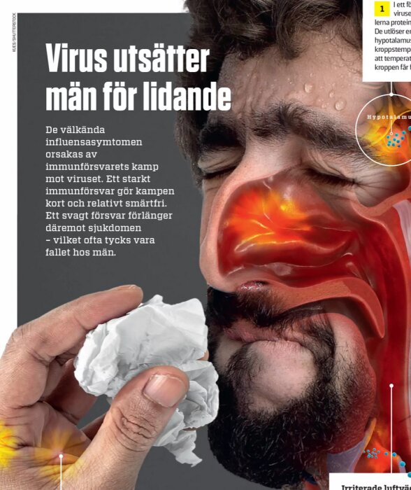 Man nyser med näsan genomlyst; rubrik: "Virus utsätter män för lidande.