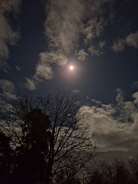 Supermåne på natthimmel delvis täckt av moln, med silhuetter av träd i förgrunden.