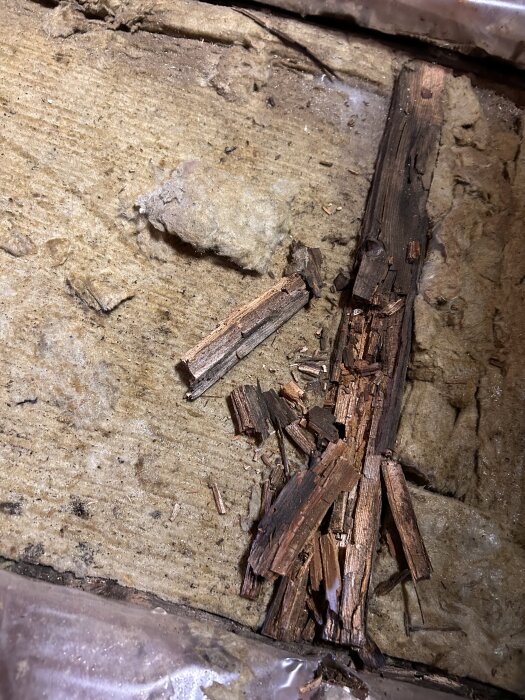 Ruttet trä omgiven av isolering och plast i en byggnadskonstruktion, vilket indikerar potentiell fuktskada eller angrepp av skadedjur.